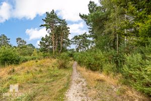 Heathlands - click for photo gallery